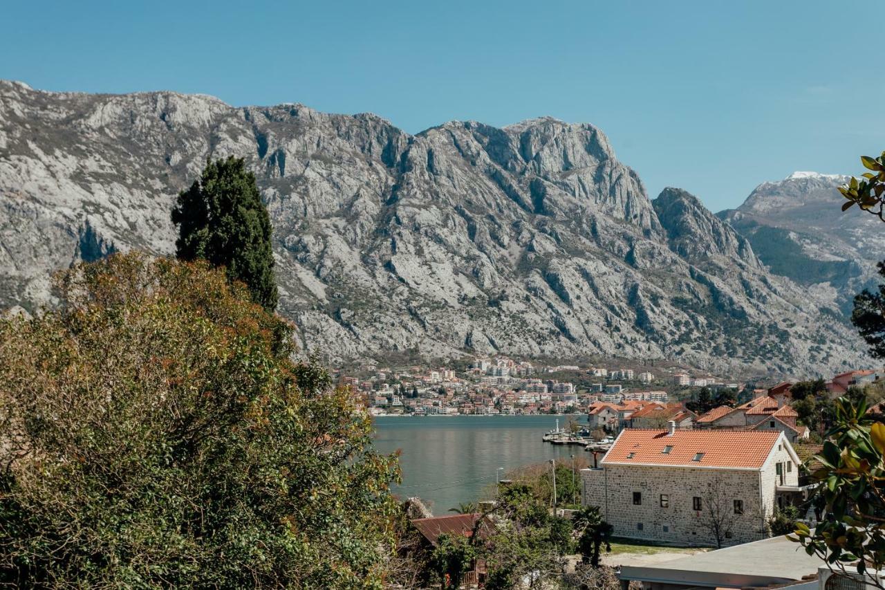 Magnolia Apartment Κότορ Εξωτερικό φωτογραφία
