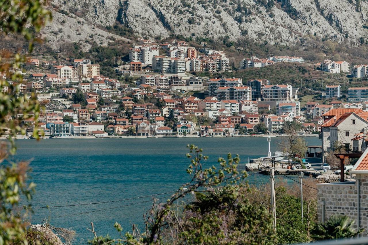 Magnolia Apartment Κότορ Εξωτερικό φωτογραφία